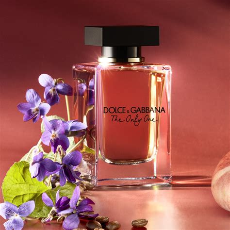 dolce gabbana drama|dolce gabbana the only one.